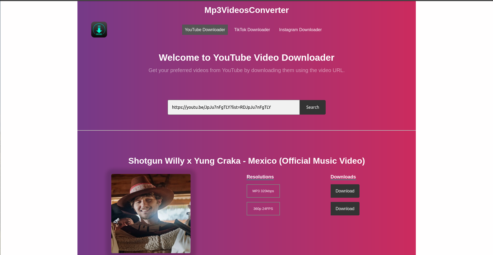 All Video Downloader preview